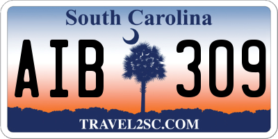 SC license plate AIB309