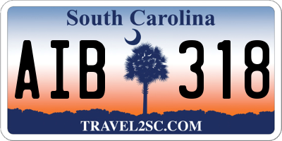 SC license plate AIB318