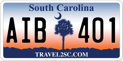 SC license plate AIB401