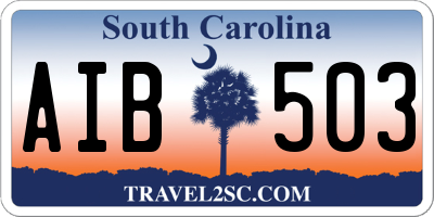 SC license plate AIB503