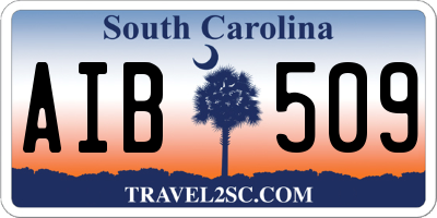 SC license plate AIB509