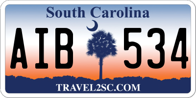 SC license plate AIB534
