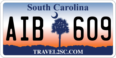 SC license plate AIB609