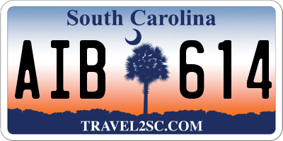 SC license plate AIB614