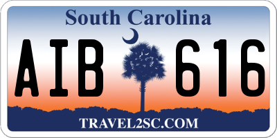 SC license plate AIB616