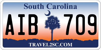SC license plate AIB709