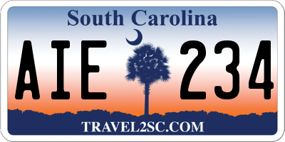 SC license plate AIE234