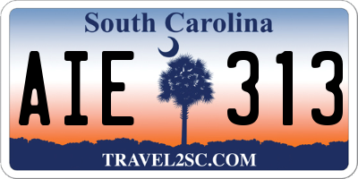 SC license plate AIE313