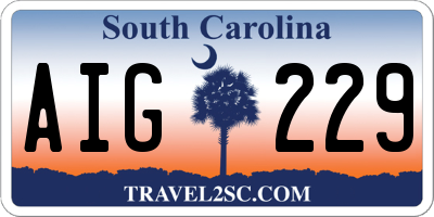 SC license plate AIG229