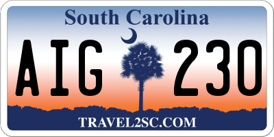 SC license plate AIG230