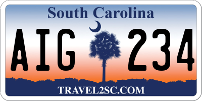 SC license plate AIG234