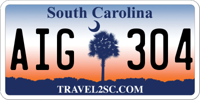 SC license plate AIG304