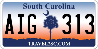 SC license plate AIG313