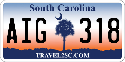 SC license plate AIG318