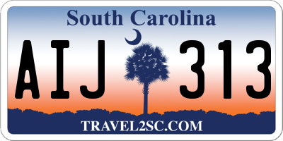 SC license plate AIJ313
