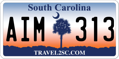 SC license plate AIM313