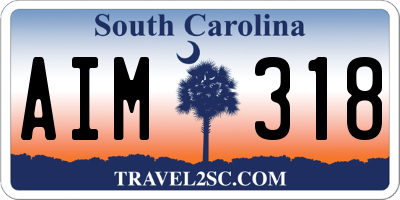 SC license plate AIM318