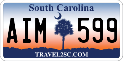 SC license plate AIM599