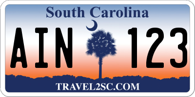 SC license plate AIN123