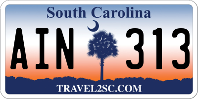 SC license plate AIN313