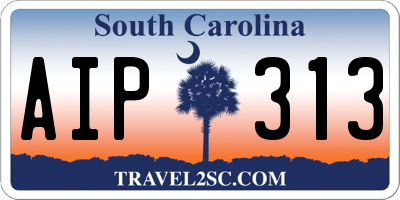 SC license plate AIP313