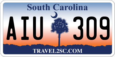 SC license plate AIU309
