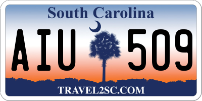 SC license plate AIU509