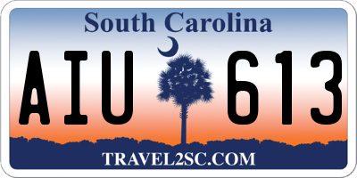 SC license plate AIU613