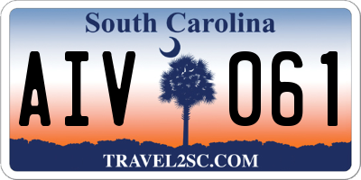 SC license plate AIV061
