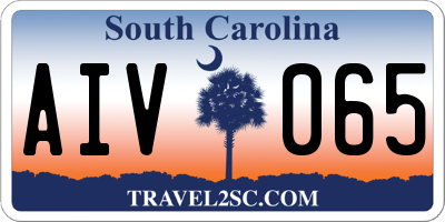 SC license plate AIV065