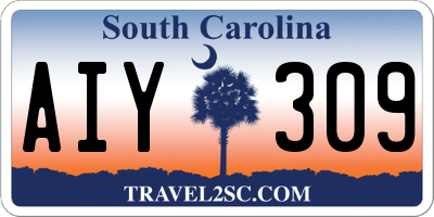 SC license plate AIY309