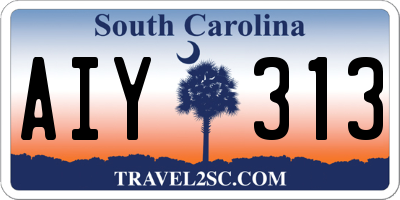 SC license plate AIY313
