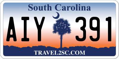 SC license plate AIY391