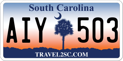 SC license plate AIY503