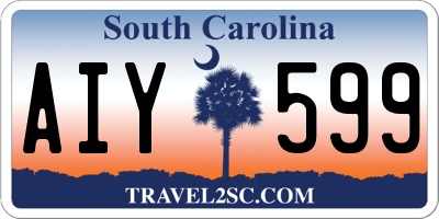 SC license plate AIY599