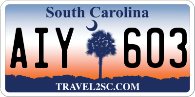 SC license plate AIY603