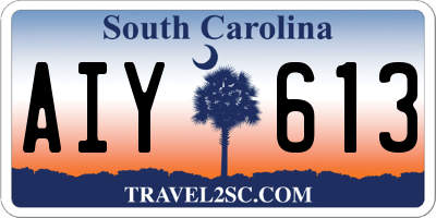 SC license plate AIY613