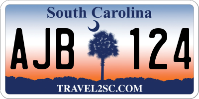 SC license plate AJB124