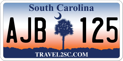 SC license plate AJB125