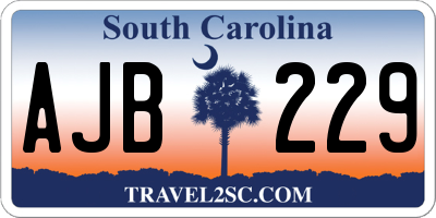 SC license plate AJB229