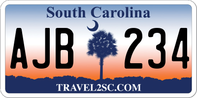 SC license plate AJB234