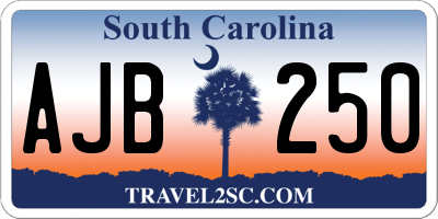 SC license plate AJB250