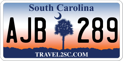SC license plate AJB289