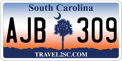 SC license plate AJB309