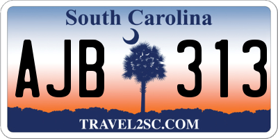 SC license plate AJB313