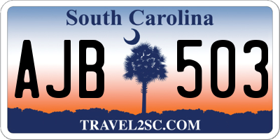 SC license plate AJB503