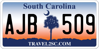 SC license plate AJB509