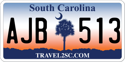 SC license plate AJB513
