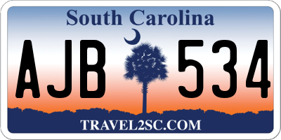 SC license plate AJB534
