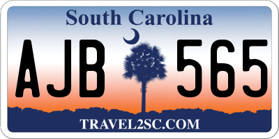 SC license plate AJB565